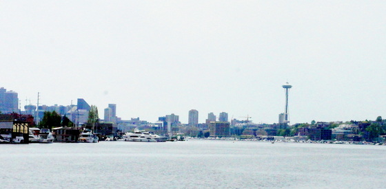 Skyline view from Salmon House.JPG